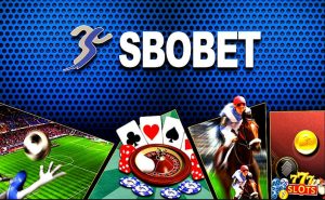 sbobet tk88