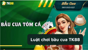 Các loại hình đặt cược tại Bầu cua trực tuyến TK88