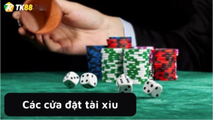 Những mẹo mà cao thủ chia sẻ trong suốt quá trình chơi game tài xỉu